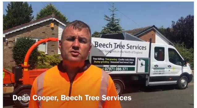Dean, owner of Beech Tree Services