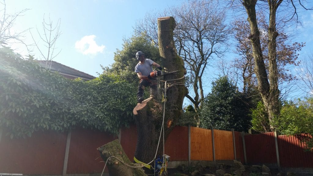 Garden clearance